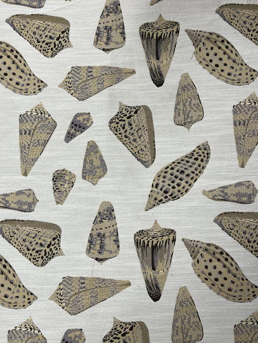Conch Shell Ecru Upholstery/Drapery Fabric by Paragon Textiles