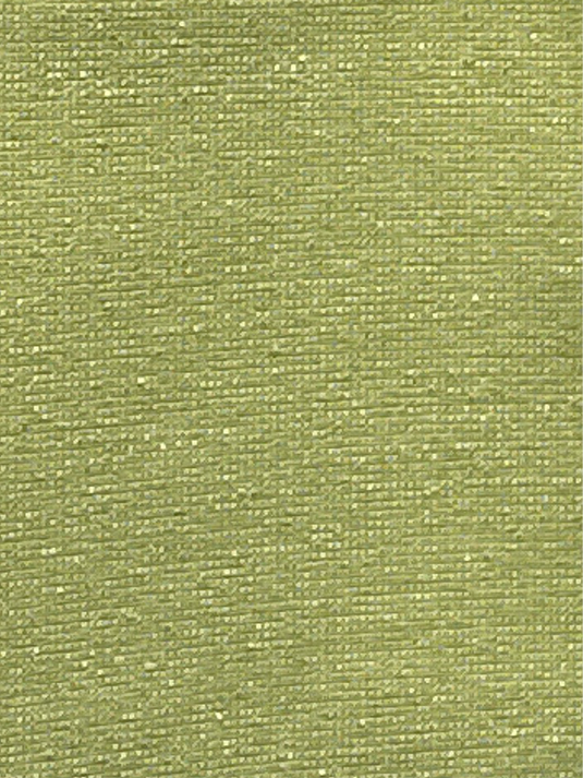 Delaney Cactus Indoor/Outdoor Fabric by Outdura/Sattler