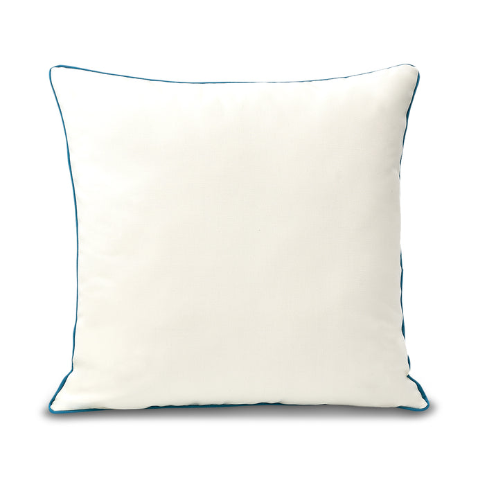 22x22 Sunreal White with Aruba pillow
