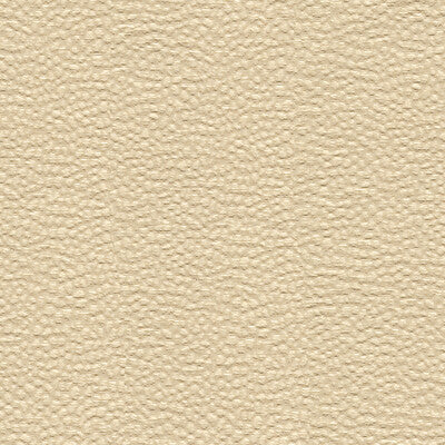 Whampoa Shell Upholstery Fabric by Kravet
