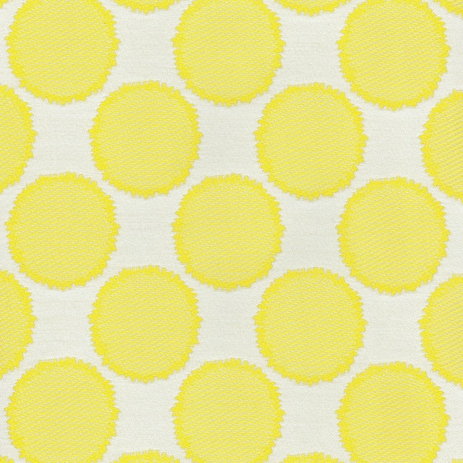 Well Rounded CL Lemongrass Drapery Upholstery Fabric by PK Lifestyles