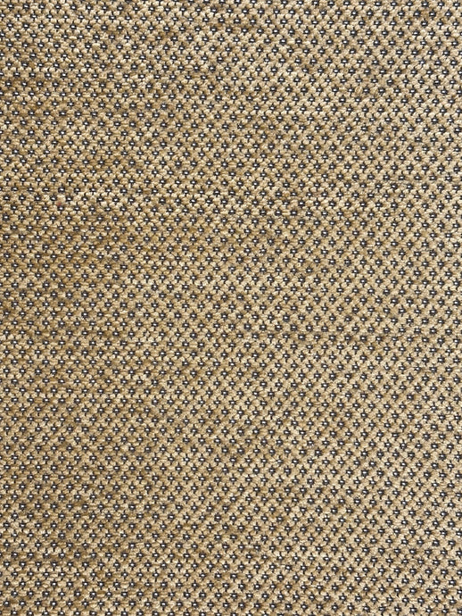 Polka Dot Honey Upholstery/Drapery Fabric by Kravet